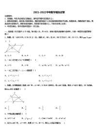 河北省衡水市武邑中学2021-2022学年中考数学模拟预测题含解析