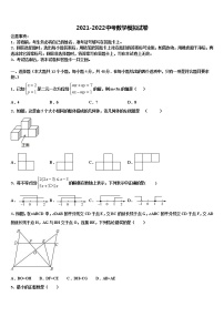 河南省洛阳四十五中市级名校2021-2022学年中考数学仿真试卷含解析