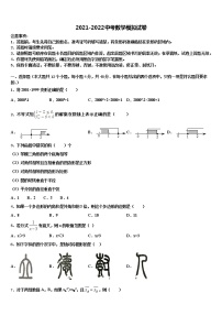 河南省洛阳市涧西区东方二中学2021-2022学年初中数学毕业考试模拟冲刺卷含解析