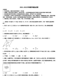 河南省洛阳洛宁县联考2022年中考联考数学试题含解析