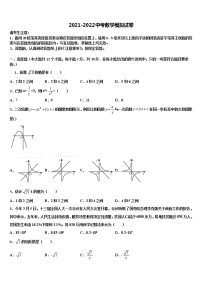 河南省平顶山市第四十二中学2021-2022学年中考数学模拟试题含解析