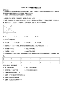 河南省商丘市梁园区李庄乡第一初级中学2021-2022学年中考数学最后冲刺模拟试卷含解析