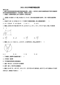 河南省郑州枫杨外国语中学2022年中考联考数学试卷含解析