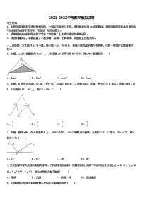 河南省周口川汇区重点中学2021-2022学年中考数学对点突破模拟试卷含解析