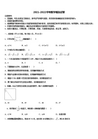 黑龙江哈尔滨市道外区2022年中考数学全真模拟试题含解析