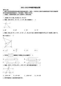 黑龙江省哈尔滨市香坊区达标名校2022年中考数学最后一模试卷含解析