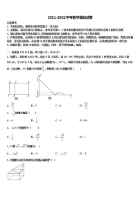 湖北恩施沙地中学2021-2022学年中考数学押题卷含解析
