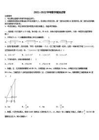 衡阳市重点中学2021-2022学年中考数学适应性模拟试题含解析