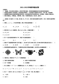 湖南省岳阳市九校2022年中考数学模拟试题含解析