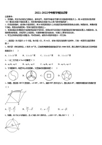 湖南省长沙市一中学湘一南湖校2021-2022学年中考数学全真模拟试题含解析