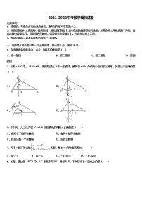 湖南省长沙市怡雅校2022年中考数学模拟预测试卷含解析