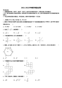 湖南省长沙市周南石燕湖中学2021-2022学年毕业升学考试模拟卷数学卷含解析