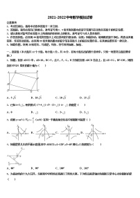 湖南省株洲市第十九中学2022年中考数学对点突破模拟试卷含解析