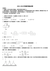 淮南市重点中学2022年中考数学押题试卷含解析