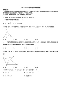 黄冈达标名校2021-2022学年中考数学模拟预测试卷含解析