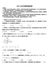 徽省临泉2022年中考数学对点突破模拟试卷含解析