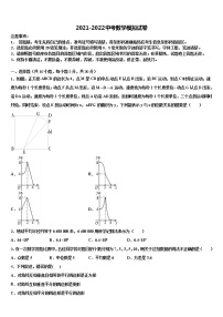 湖南省茶陵县重点达标名校2021-2022学年中考二模数学试题含解析