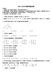 湖南省衡阳市第九中学2021-2022学年中考数学对点突破模拟试卷含解析