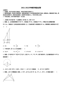 湖南省衡阳市耒阳市2021-2022学年中考试题猜想数学试卷含解析