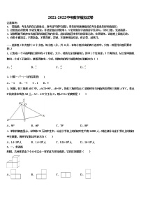 湖南省娄底市冷水江市2021-2022学年中考数学全真模拟试题含解析