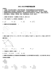 湖南省娄底市娄星区重点中学2022年中考数学押题卷含解析