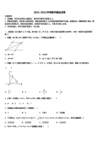 湖南省邵阳市大祥区2022年中考数学全真模拟试卷含解析