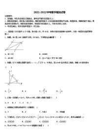 湖南省邵阳市大祥区2022年中考数学全真模拟试卷含解析