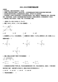 湖南省邵阳市邵阳县2021-2022学年初中数学毕业考试模拟冲刺卷含解析