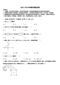 湖南省师大附中2022年中考数学最后冲刺浓缩精华卷含解析