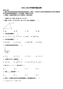 湖南省祁阳县重点中学2022年初中数学毕业考试模拟冲刺卷含解析