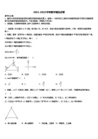 湖南省岳阳市名校2021-2022学年中考数学适应性模拟试题含解析