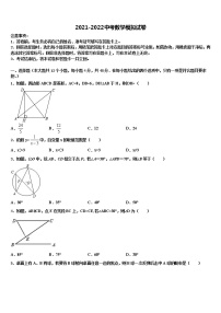 湖南省郴州市2021-2022学年中考数学模拟精编试卷含解析