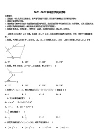 湖北省武汉市新观察2021-2022学年中考数学模拟预测题含解析