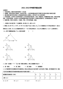 湖北省咸宁市市级名校2021-2022学年中考数学适应性模拟试题含解析