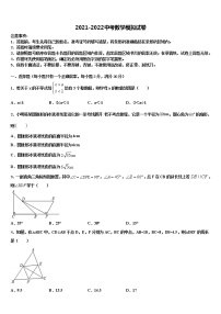 湖北省武汉市青山区5月重点名校2021-2022学年中考数学模拟预测题含解析