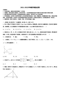 湖北省襄阳市枣阳市徐寨中学2021-2022学年中考数学模拟试题含解析