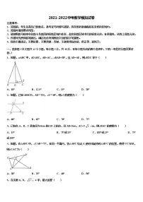 湖北省随州市2021-2022学年中考猜题数学试卷含解析
