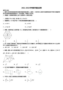 湖北省武汉市2021-2022学年中考数学最后冲刺模拟试卷含解析