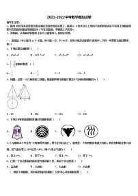 湖北省广水市达标名校2021-2022学年中考数学最后冲刺浓缩精华卷含解析