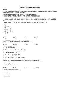 湖北省广水市达标名校2021-2022学年中考数学仿真试卷含解析