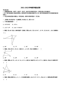 湖北省黄石市陶港中学2022年中考数学模拟精编试卷含解析