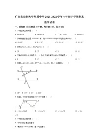 广东省深圳大学附属中学2021-2022学年七年级下学期期末考试数学试卷(含答案)