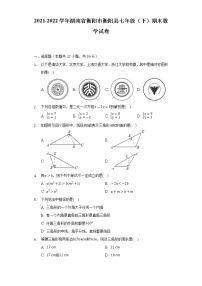 湖南省衡阳市衡阳县2021-2022学年七年级（下）期末数学试卷(解析版)