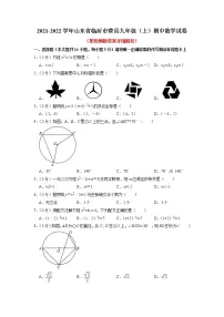 山东省临沂市费县2021-2022学年九年级上学期期中数学试卷(含答案)