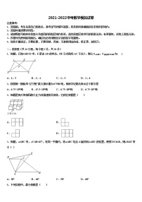 吉林实验中学2021-2022学年中考适应性考试数学试题含解析