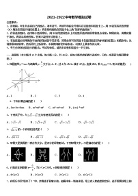 吉林省长春市朝阳区新朝阳实验校2021-2022学年中考数学仿真试卷含解析