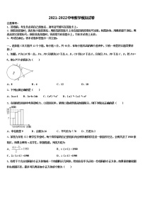 吉林省长春外国语校2021-2022学年中考数学最后冲刺模拟试卷含解析