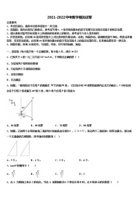 吉林省农安县新阳中学2022年中考数学最后冲刺模拟试卷含解析