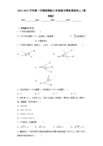 七年级数学期末模拟卷三- 2022-2023学年七年级数学上册专题训练（浙教版）