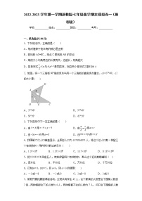 七年级数学期末模拟卷一- 2022-2023学年七年级数学上册专题训练（浙教版）